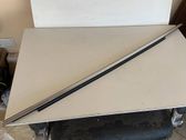 Rear door glass trim molding