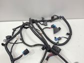 Parking sensor (PDC) wiring loom