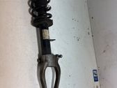 Front shock absorber/damper