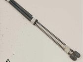 Tailgate/trunk strut/damper