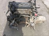Motor