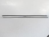 Front door glass trim molding