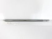 Rear door trim (molding)