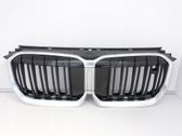 ACC Distronic radar sensor grill/trim