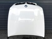Engine bonnet/hood