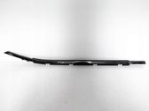 Rear door glass trim molding