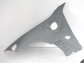 Fender
