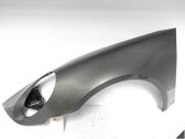 Fender