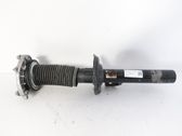 Front shock absorber/damper