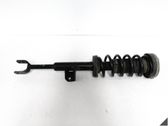 Front shock absorber/damper