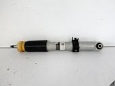 Rear shock absorber/damper