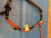 Other wiring loom