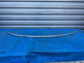 Front bumper support beam