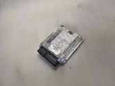 Engine control unit/module ECU