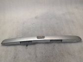Trunk door license plate light bar