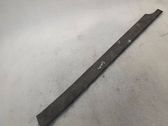 Listón embellecedor de la puerta delantera (moldura)