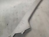 (A) pillar trim