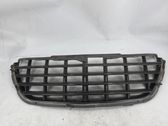 Atrapa chłodnicy / Grill