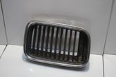 Front bumper upper radiator grill