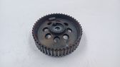 Fuel pump gear (pulley)