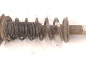 Rear shock absorber with coil spring