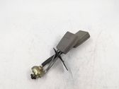 Hebilla del cinturón de seguridad trasero
