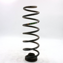 Rear coil spring