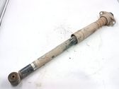 Stoßdämpfer hinten