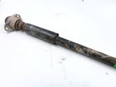Rear shock absorber/damper