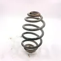 Rear coil spring