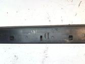Front door trim (molding)