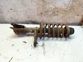 Front shock absorber with coil spring