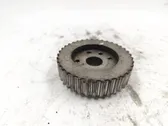 Fuel pump gear (pulley)