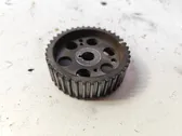 Fuel pump gear (pulley)