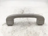 Front interior roof grab handle