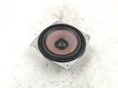 Rear door speaker