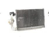 Air conditioning (A/C) radiator (interior)