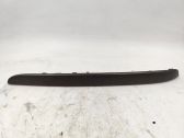 Front door trim bar