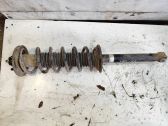Rear shock absorber with coil spring