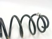 Front coil spring