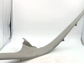 Rear sill trim cover