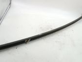 Front door trim (molding)