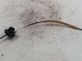 Línea de cable de puerta trasera