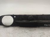 Front fog light trim/grill