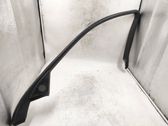 Moulures des vitres de la porte avant