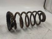 Rear coil spring