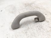 Rear interior roof grab handle