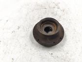 Coil spring mount