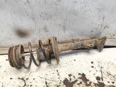 Front shock absorber with coil spring