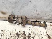 Front shock absorber with coil spring